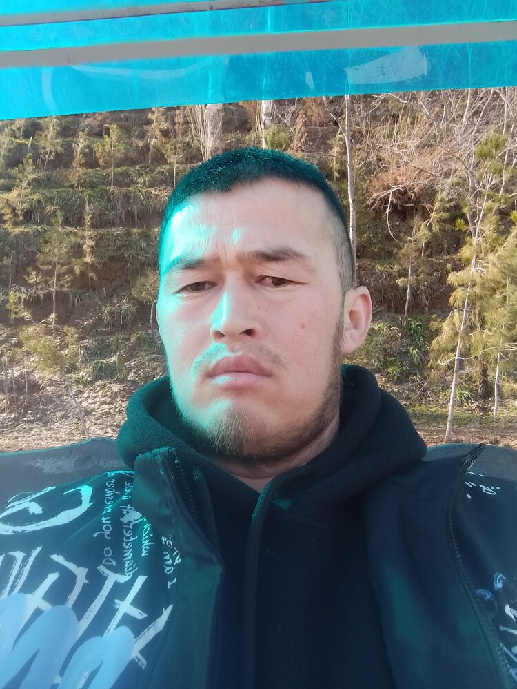  34635282  , 32 ,    