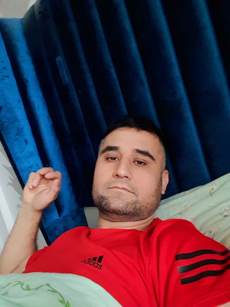  33544672  , 37 ,    