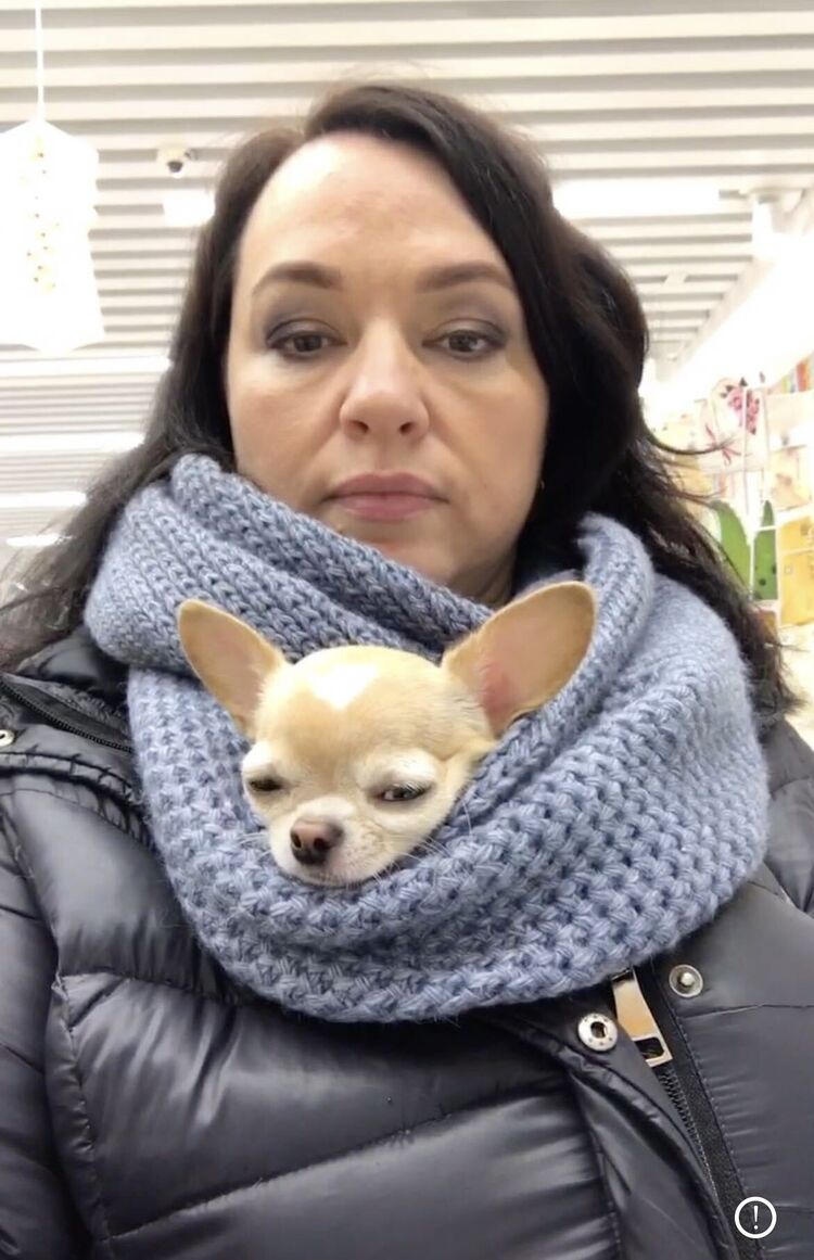  ,   , 49 ,   c 