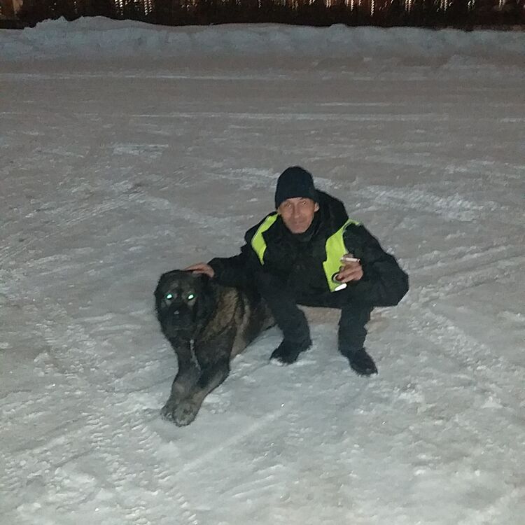 ���� 40881002 ������� �����, 49 ���, ���� ���������� � ������