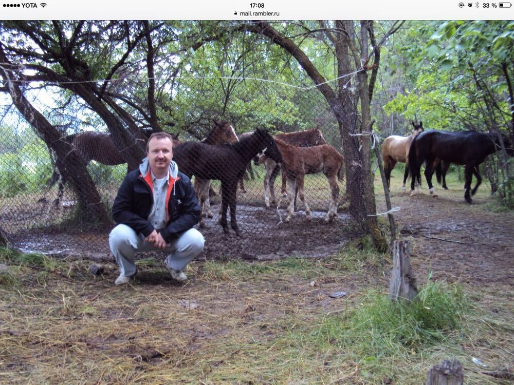 ���� 27904662 ������� ����, 50 ���, ���� ���������� � �����-����������