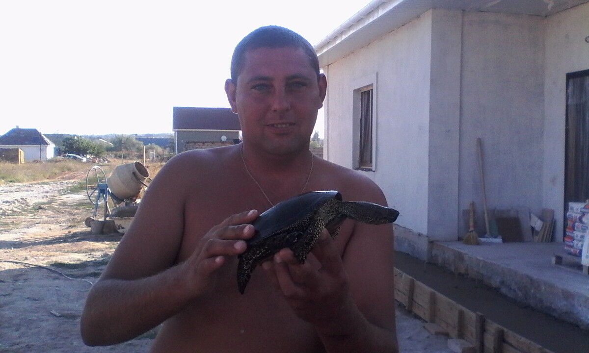 ���������� �����������, ���� ������� �����, 46 ���, ������������ ��� ������, ����� � ���������, c�������� ���������