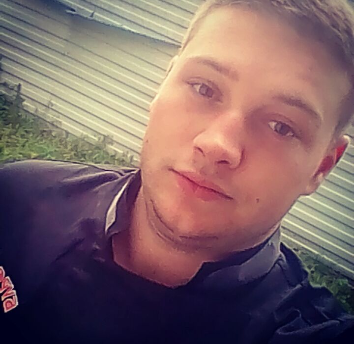  50499912  , 31 ,    