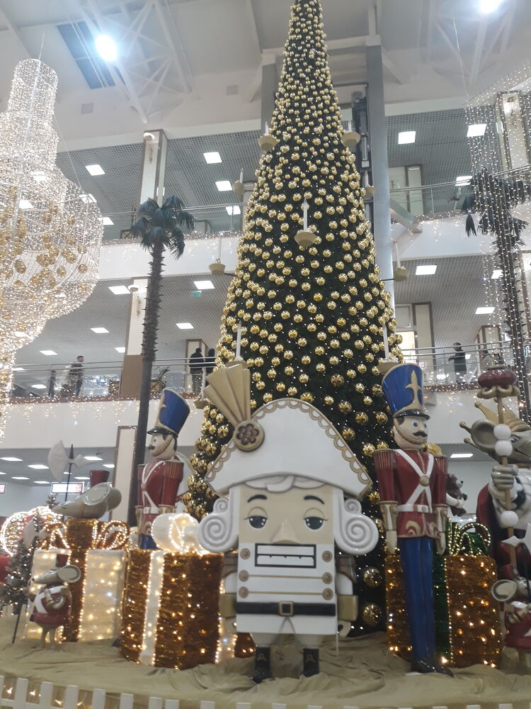 ���� 31604152 ������� ���, 30 ���, ���� ���������� � ����������