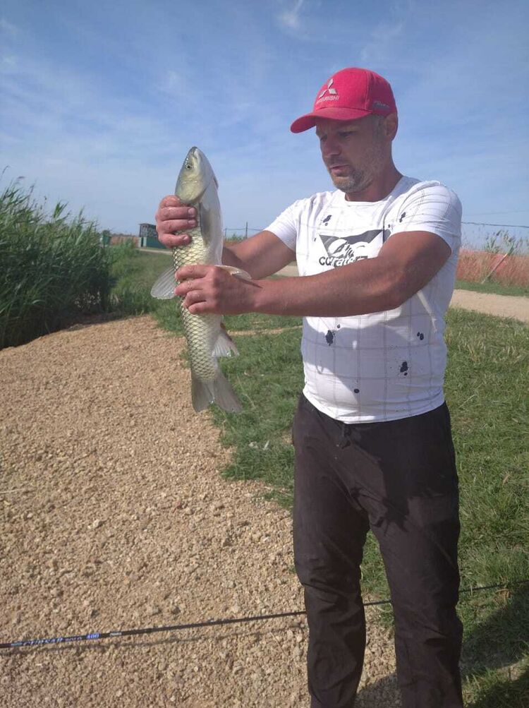  ,   , 41 ,   ,   , 