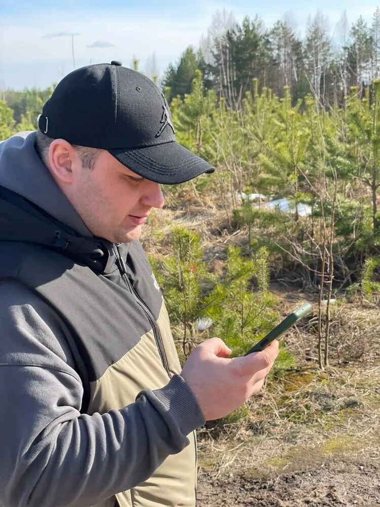  41954332  , 36 ,    -