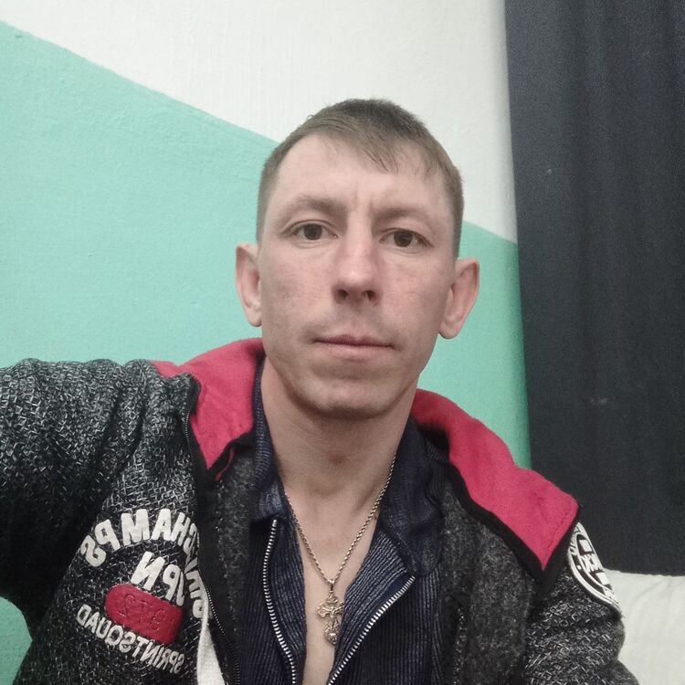  33746822  , 41 ,    