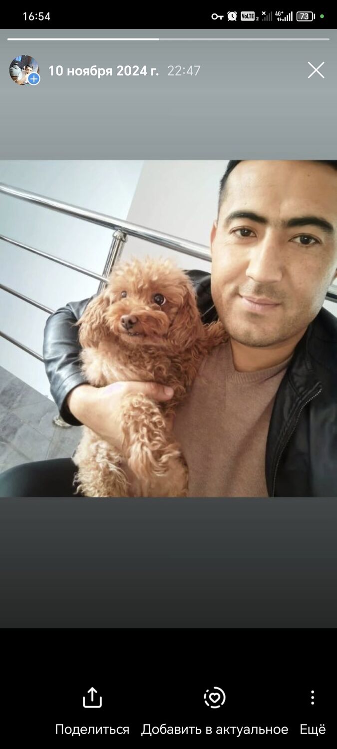 ���� 52610452 ������� ����, 29 ���, ���� ���������� � ������