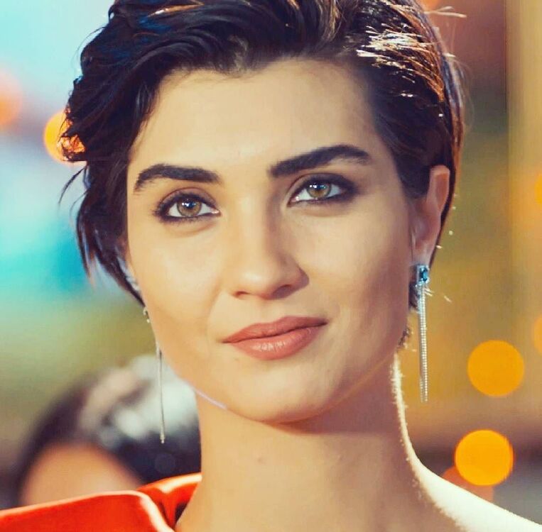 ���� 49106092 ������� ����, 42 ����, ���� ���������� � ��������������