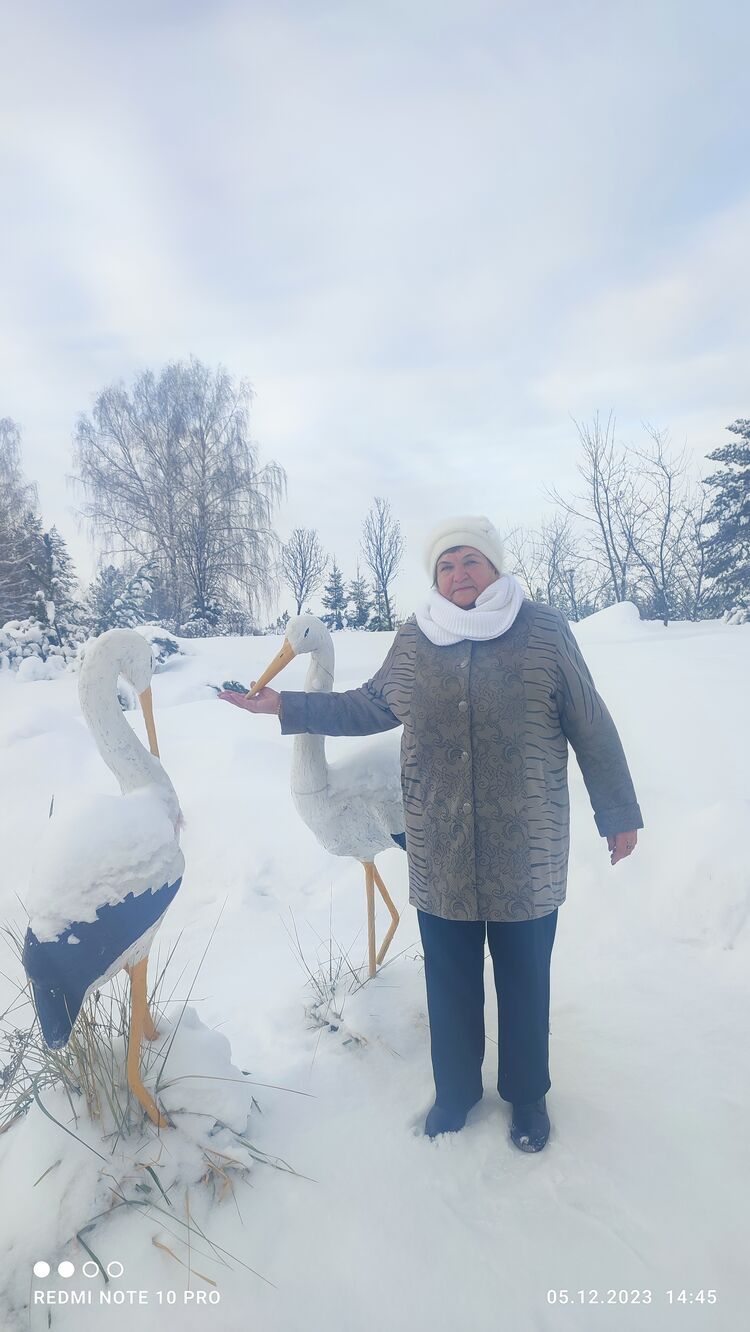 ���������� �����, ���� ������� �����, 65 ���, ������������ ��� c�������� ���������