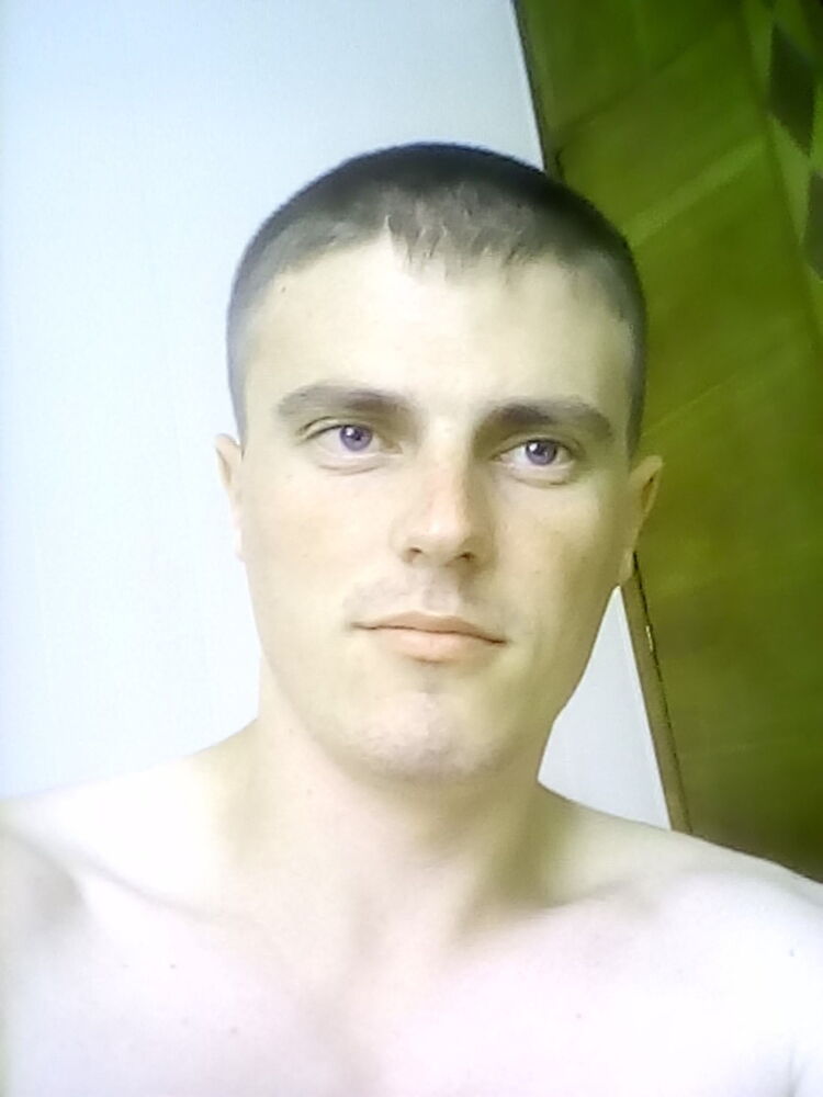  16724772  , 28 ,    