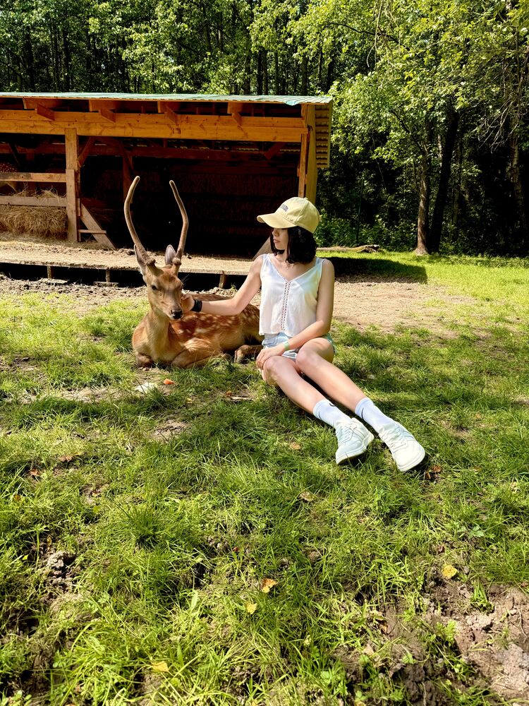 ���� 55297902 ������� ���������, 22 ����, ���� ���������� � ������