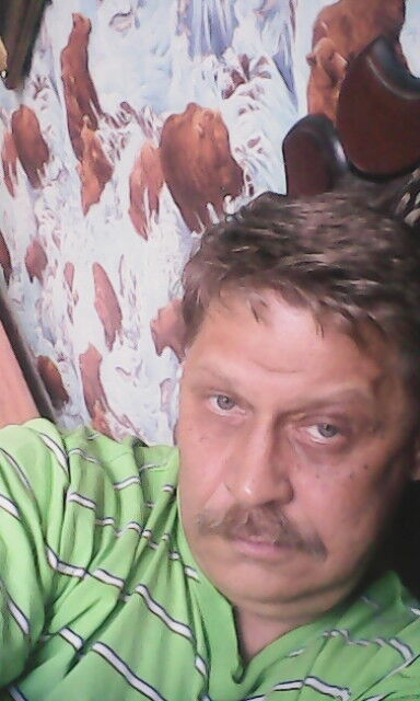   ,   , 54 ,   
