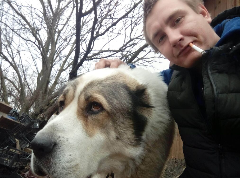 ���������� ������, ���� ������� �������, 31 ���, ������������ ��� ������, c�������� ���������, ���������