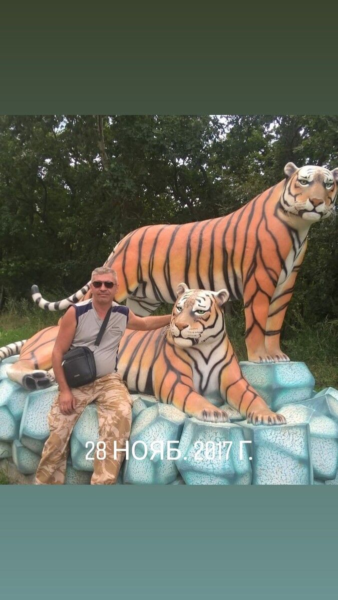  13603462  , 50 ,    