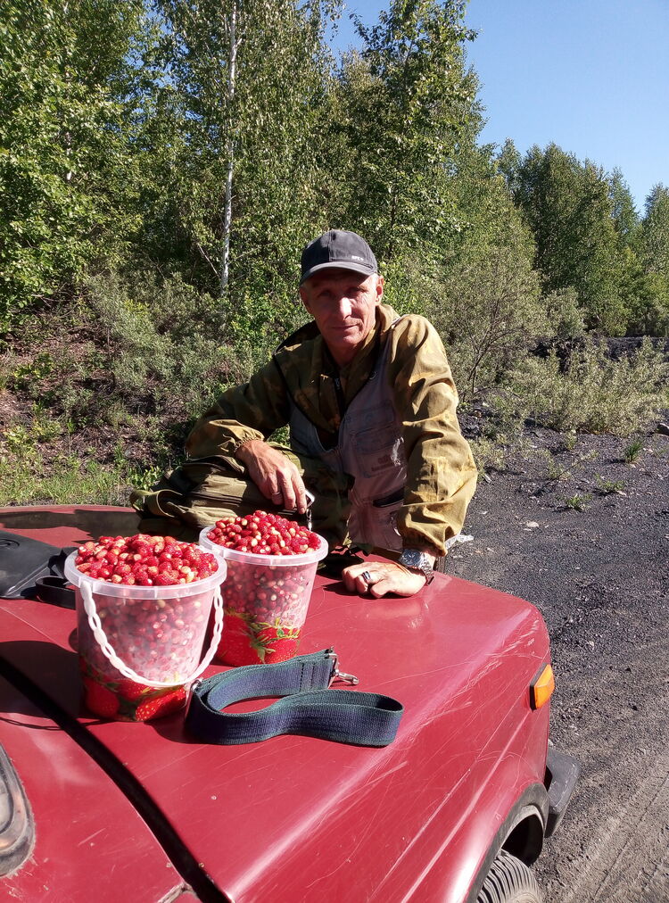 ���������� ���������, ���� ������� ����, 53 ����, ������������ ��� c�������� ���������, ���������