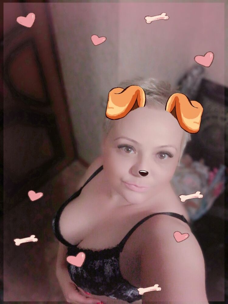  16228902  , 41 ,    