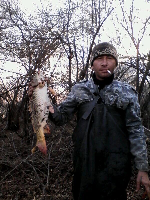 ���������� ���������, ���� ������� Nikolai, 45 ���, ������������ ��� ������, ����� � ���������, c�������� ���������