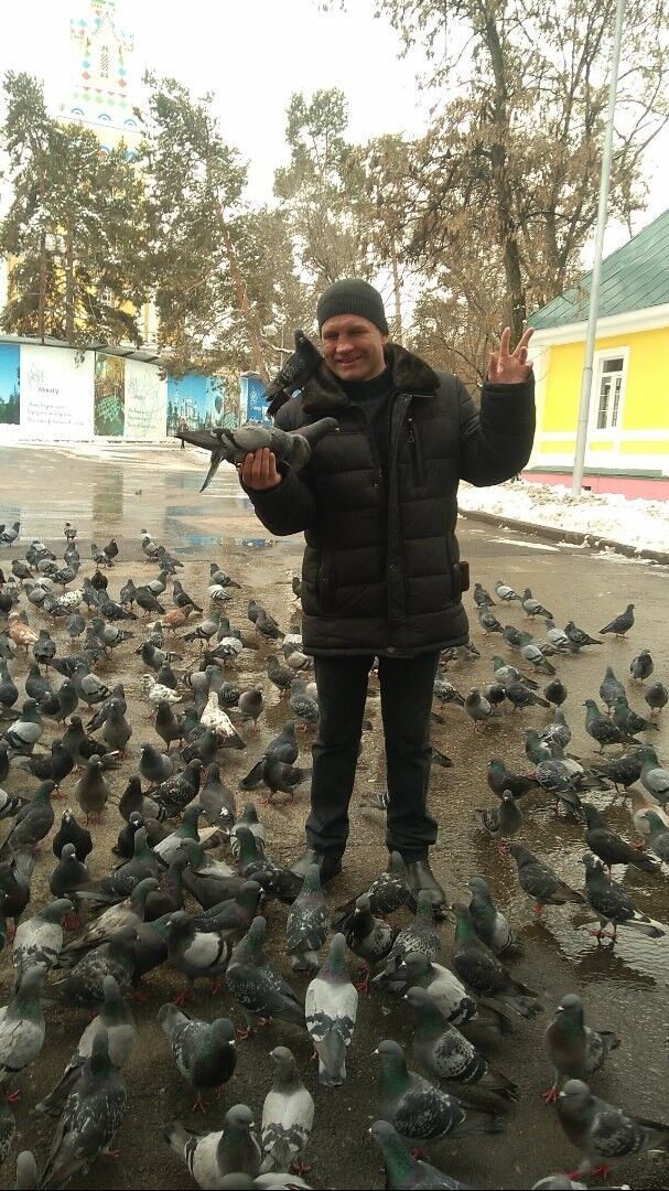 ���������� ��������, ���� ������� ����������, 47 ���, ������������ ��� ������, ����� � ���������, c�������� ���������