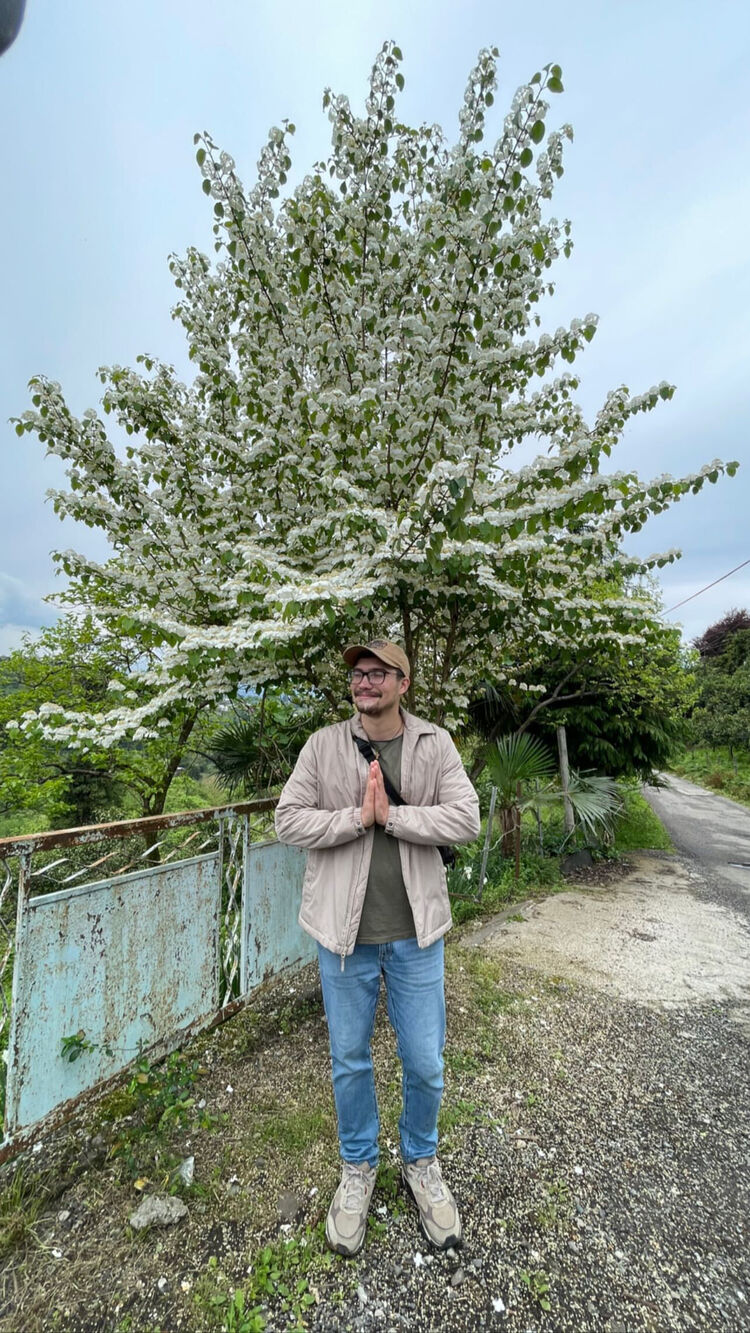 ���������� �������, ���� ����� �������, 25 ���, ������������ ��� ������, ����� � ���������, c�������� ���������, ���������