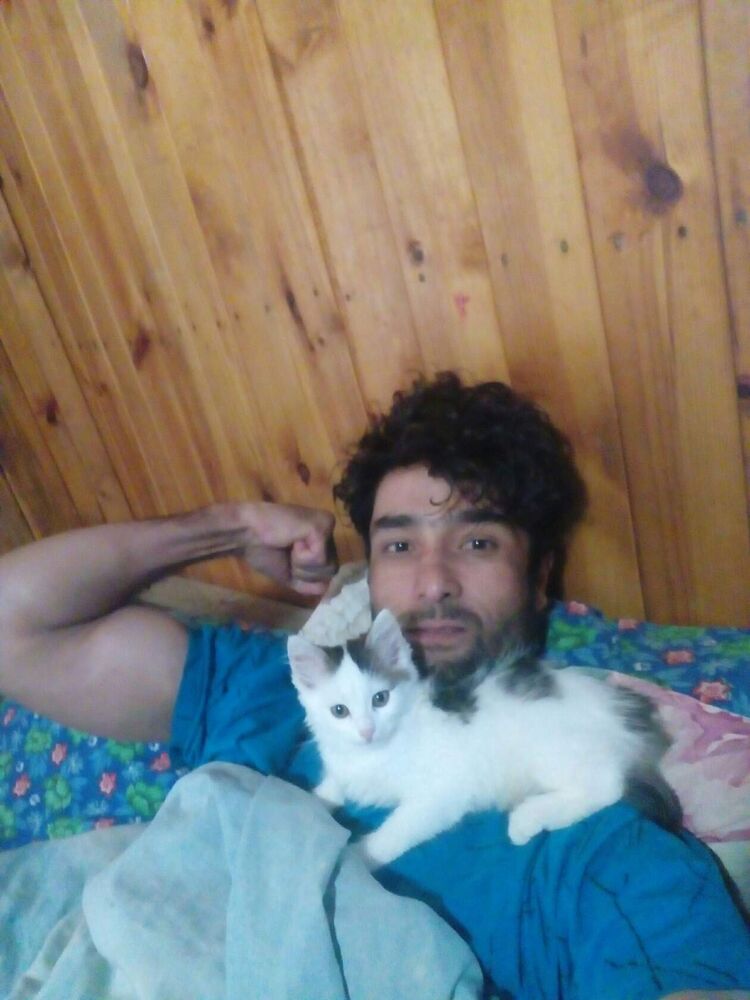 ���������� ������, ���� ������� Amir, 37 ���, ������������ ��� ������, ����� � ���������