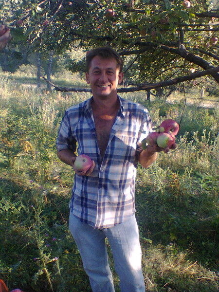 ���������� ������, ���� ������� Aleson, 37 ���, ������������ ��� ������