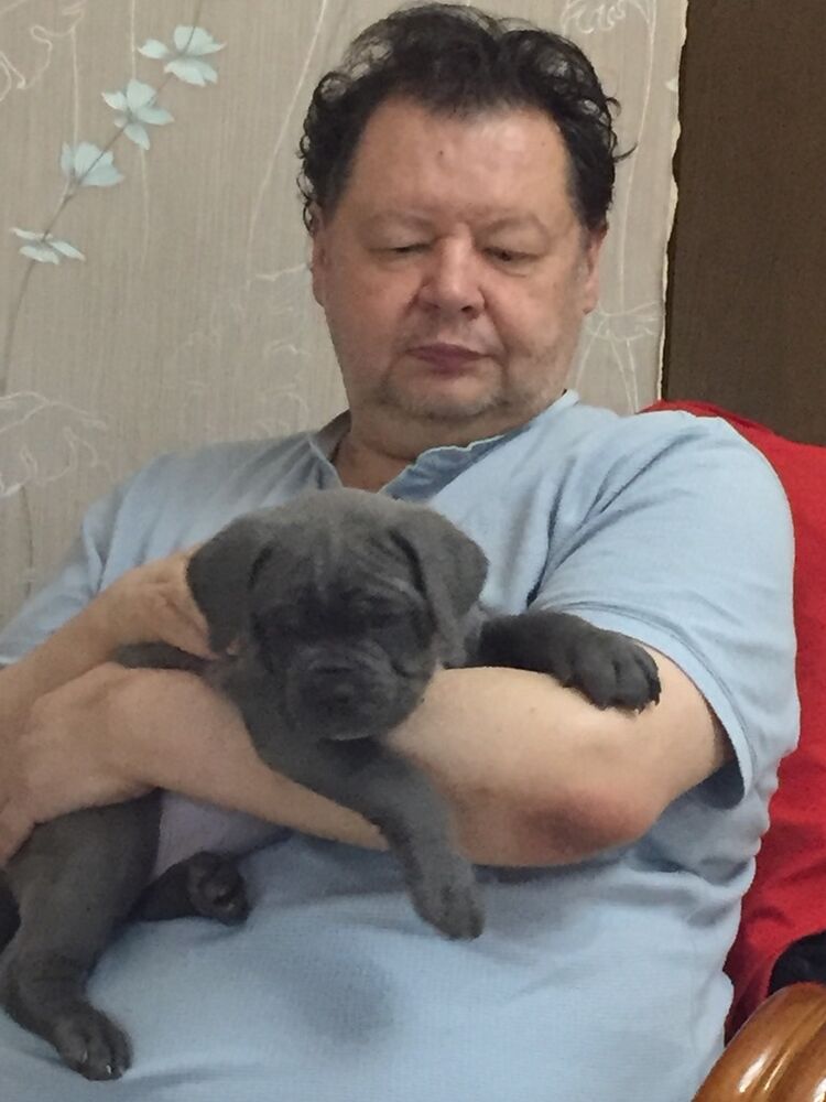  ,   , 55 ,   ,   , 