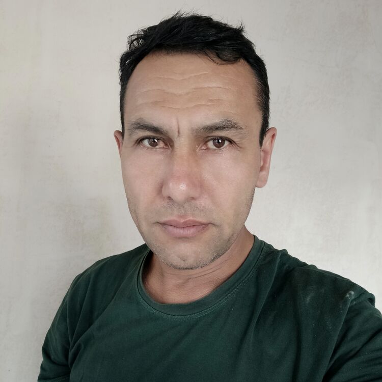  -,   , 50 ,   ,   