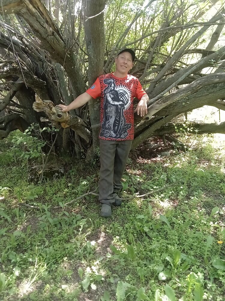 ���� 24216182 ������� �����, 40 ���, ���� ���������� � �������