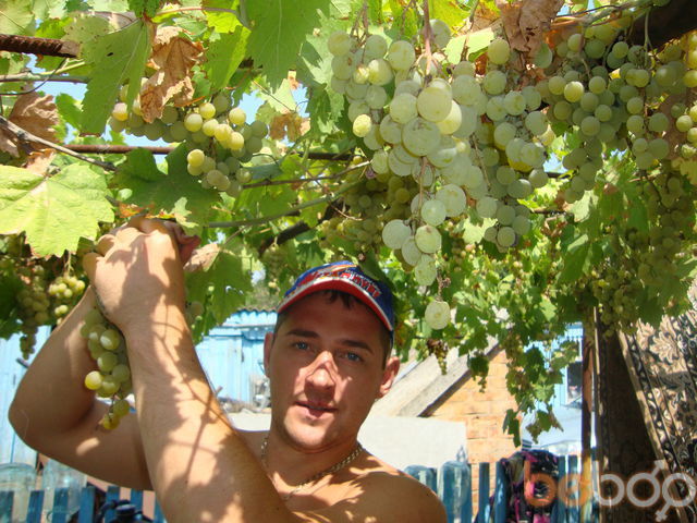 ���������� ��������, ���� ������� ������, 46 ���, ������������ ��� ������, ����� � ���������, c�������� ���������