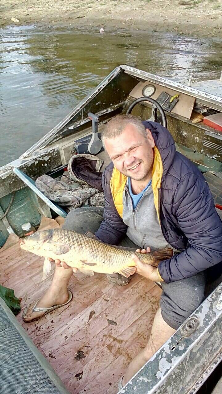 ���� 25998492 ������� �������, 102 ����, ���� ���������� � ������������