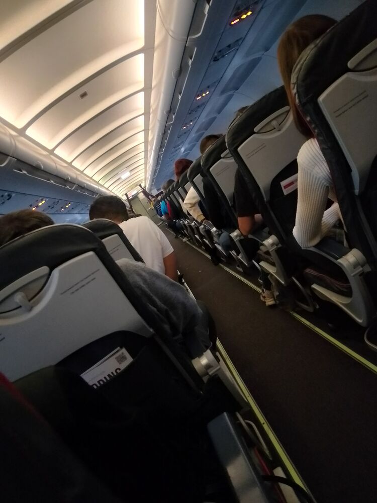 ���� 43008262 ������� ALEXEY, 37 ���, ���� ���������� � �������������