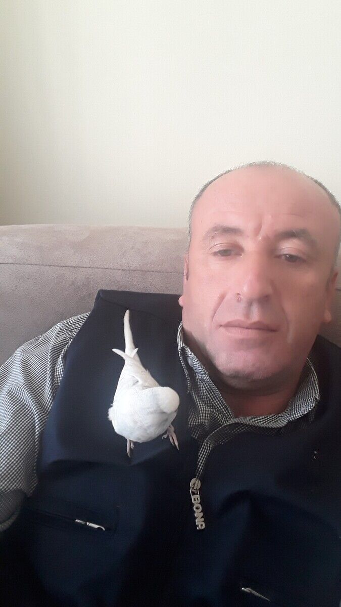 ,   Ekrem, 51 ,   ,   