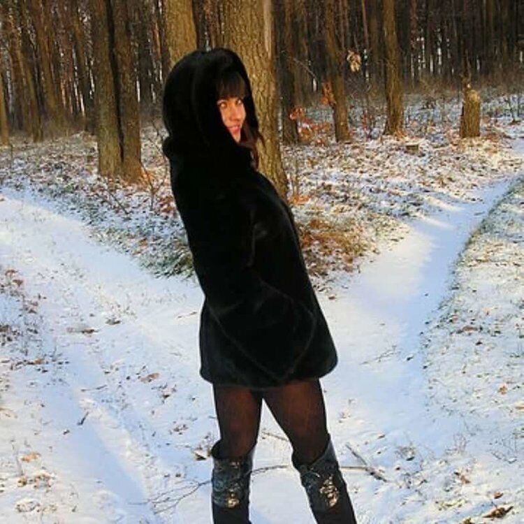  38844352  , 36 ,    -