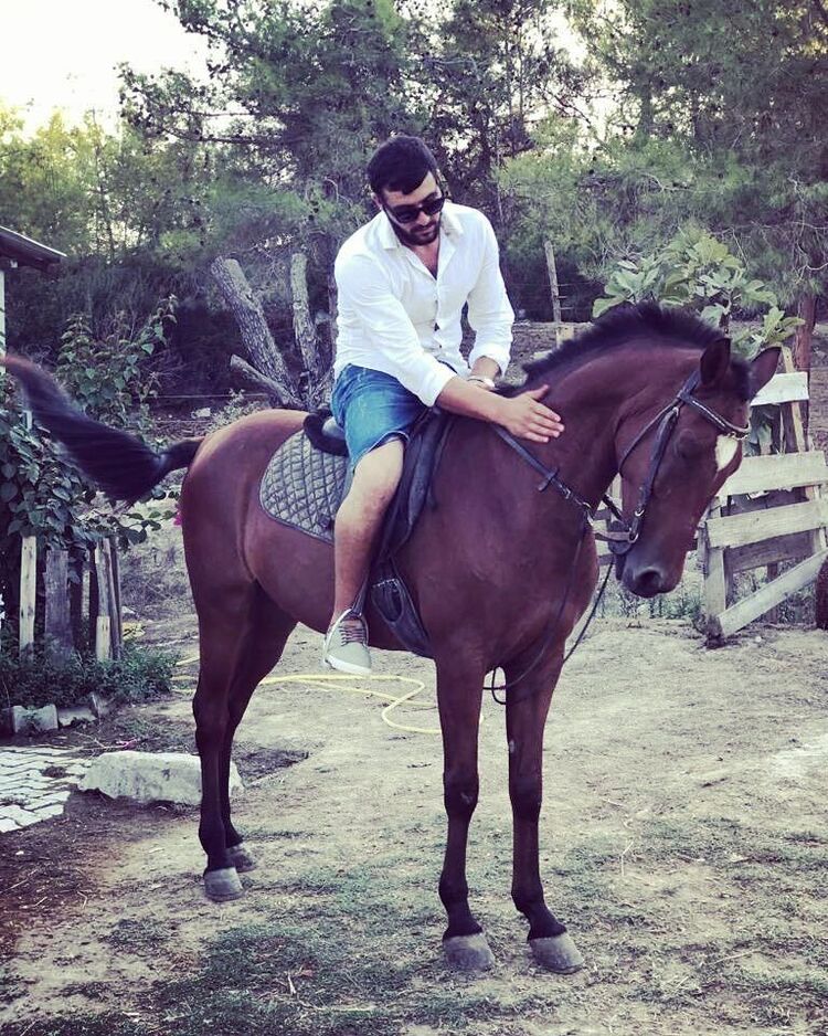 ���������� ������, ���� ������� Vidadi, 29 ���, ������������ ��� ������, ����� � ���������