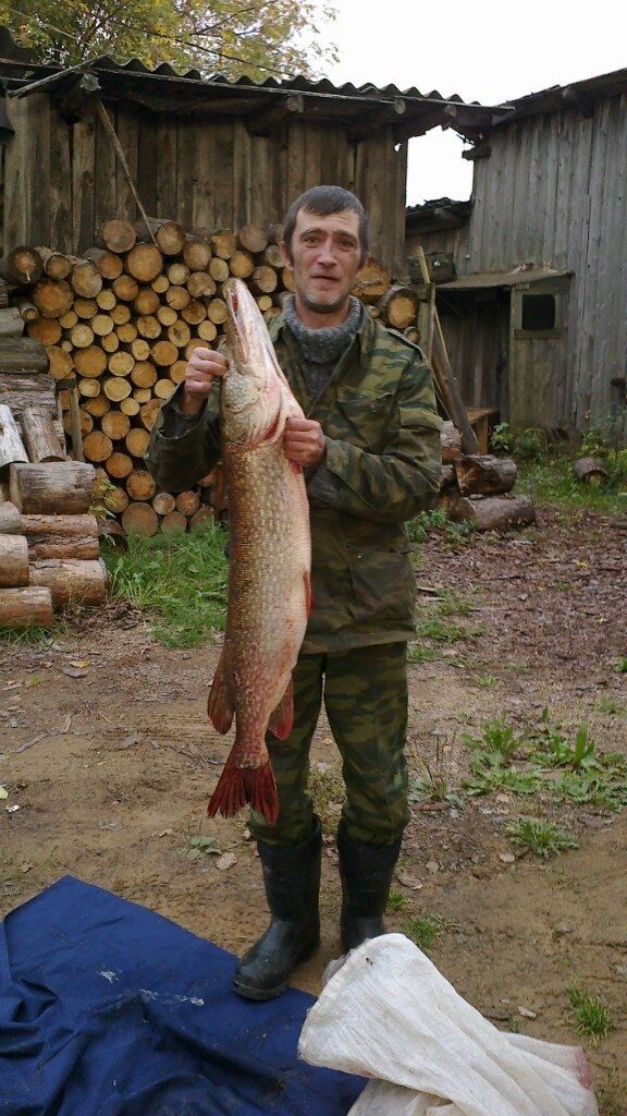 ���� 25525092 ������� ������, 52 ����, ���� ���������� � �����