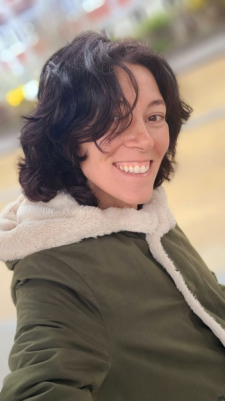 ���������� �����������, ���� ������� ����������, 35 ���, ������������ 