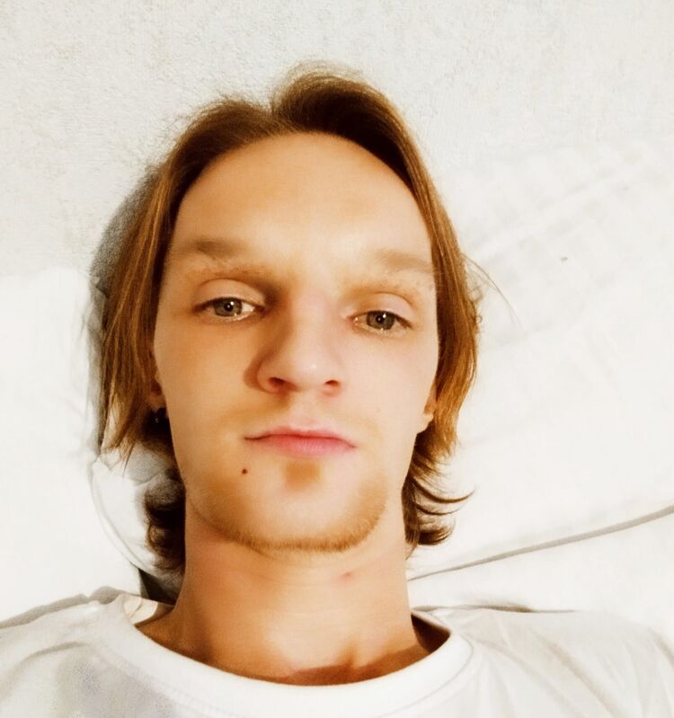  31054962  , 33 ,    -