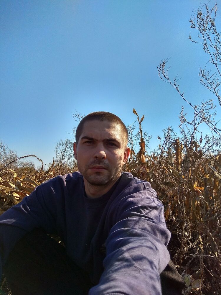  17892692  , 52 ,    