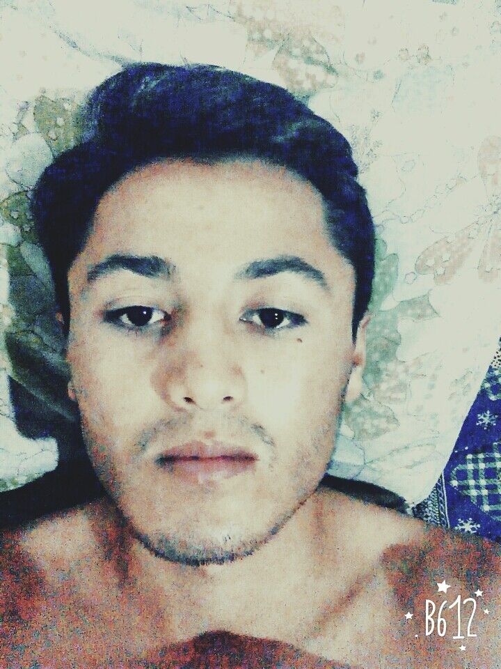 ���� 8078482 ������� Olim, 32 ����, ���� ���������� � ������