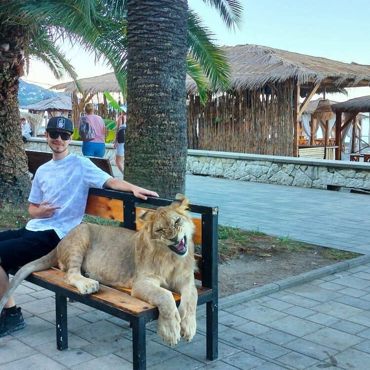 ���������� �����������, ���� ������� �������, 28 ���, ������������ ��� ������, ����� � ���������