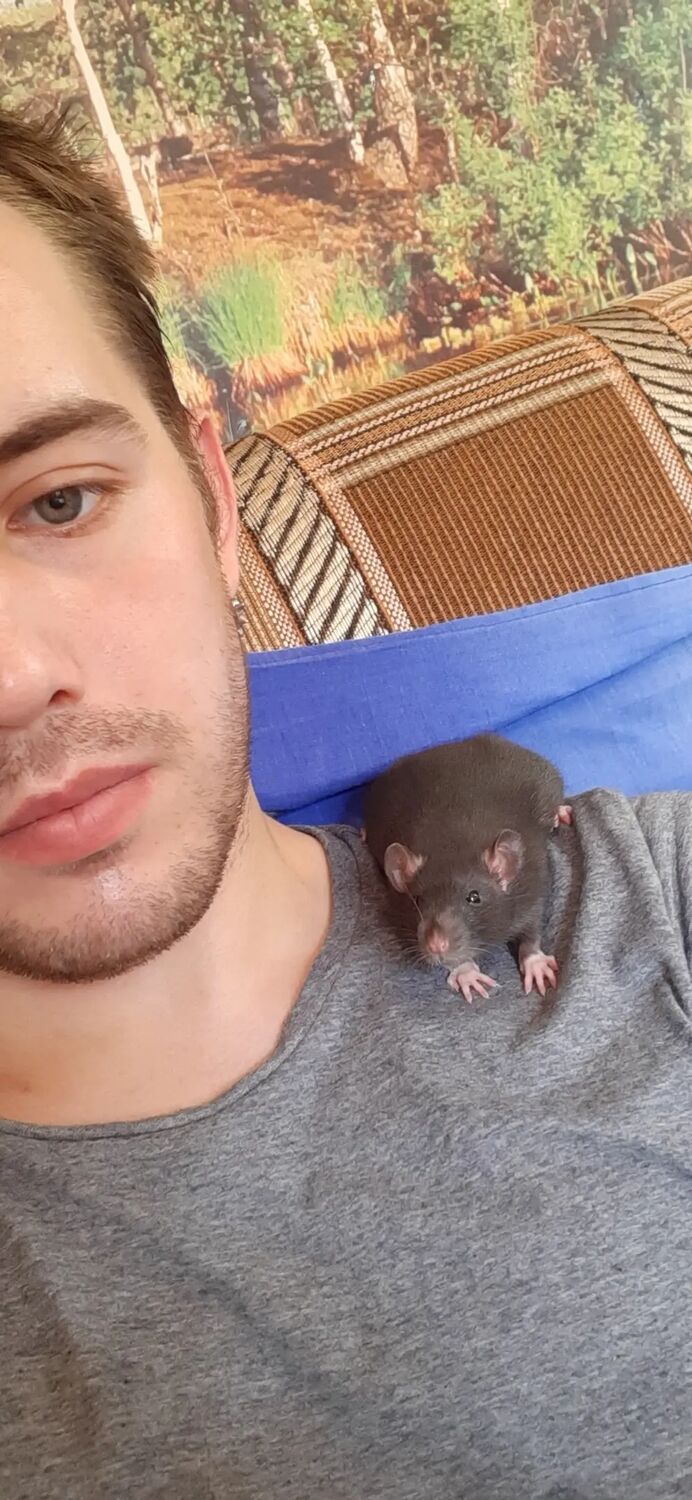 ���� 36411562 ������� �����, 30 ���, ���� ���������� � �����