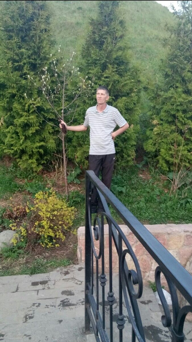  ,   , 52 ,   ,   , c 
