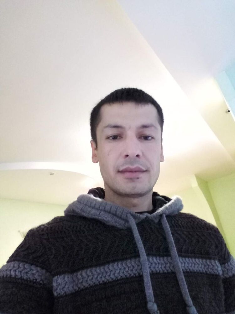  50901662  , 31 ,    