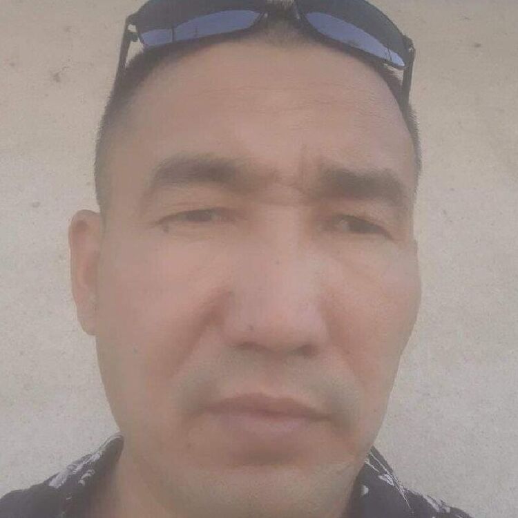  22217742  , 46 ,    