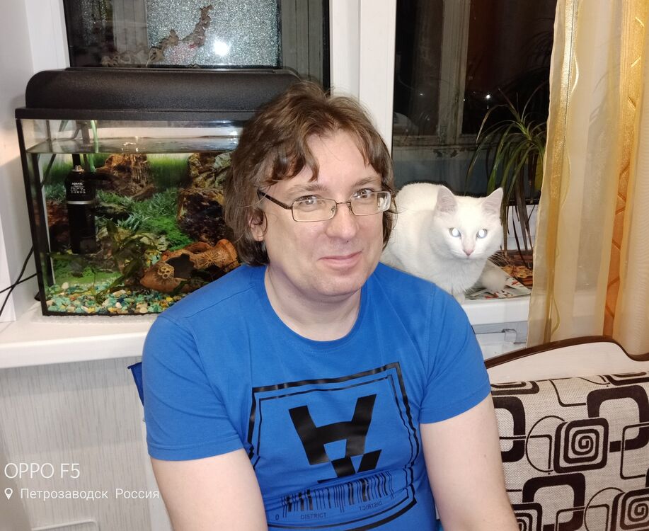 ���� 56351682 ������� ���������, 50 ���, ���� ���������� � �������������