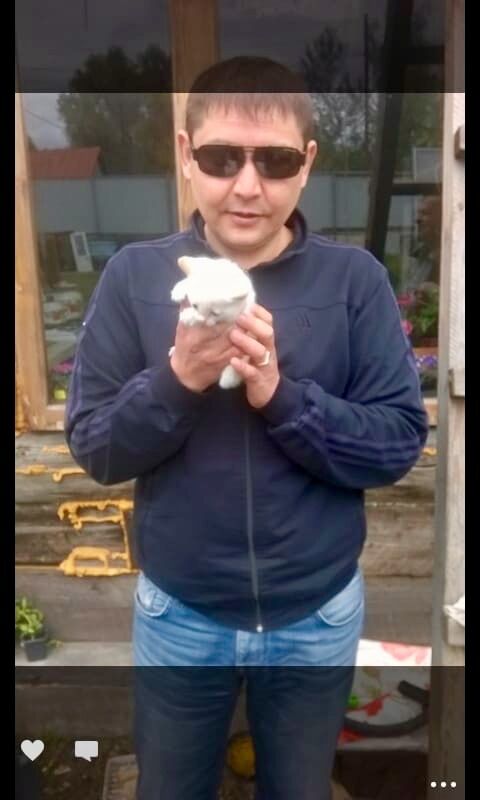 ���� 24876422 ������� �����, 41 ���, ���� ���������� � �����