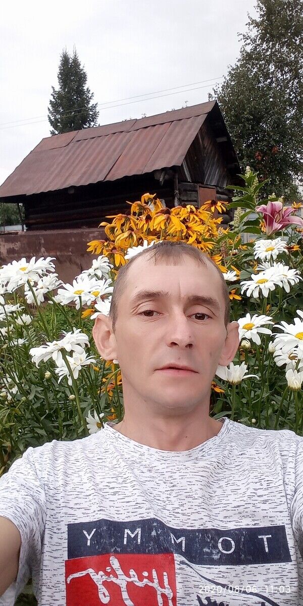 21723802  , 43 ,    