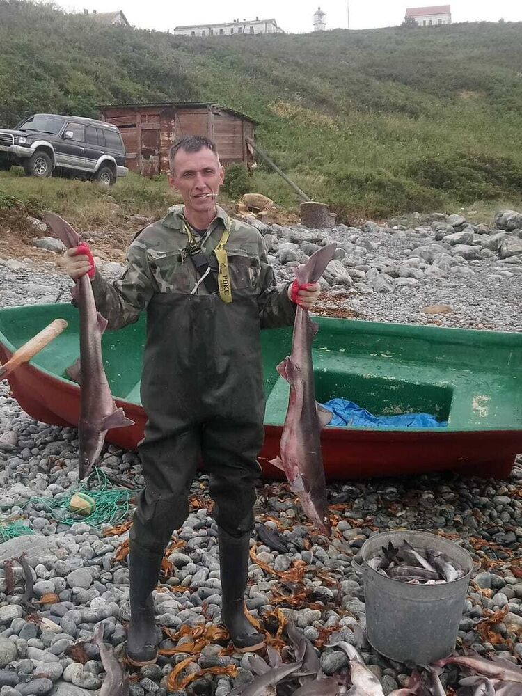 ���������� �������, ���� ������� �������, 50 ���, ������������ ��� ������, ����� � ���������, c�������� ���������