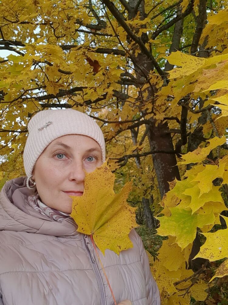  54173942  , 43 ,    -